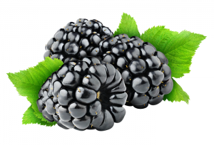Blackberry is a berry that looks and tastes amazing.